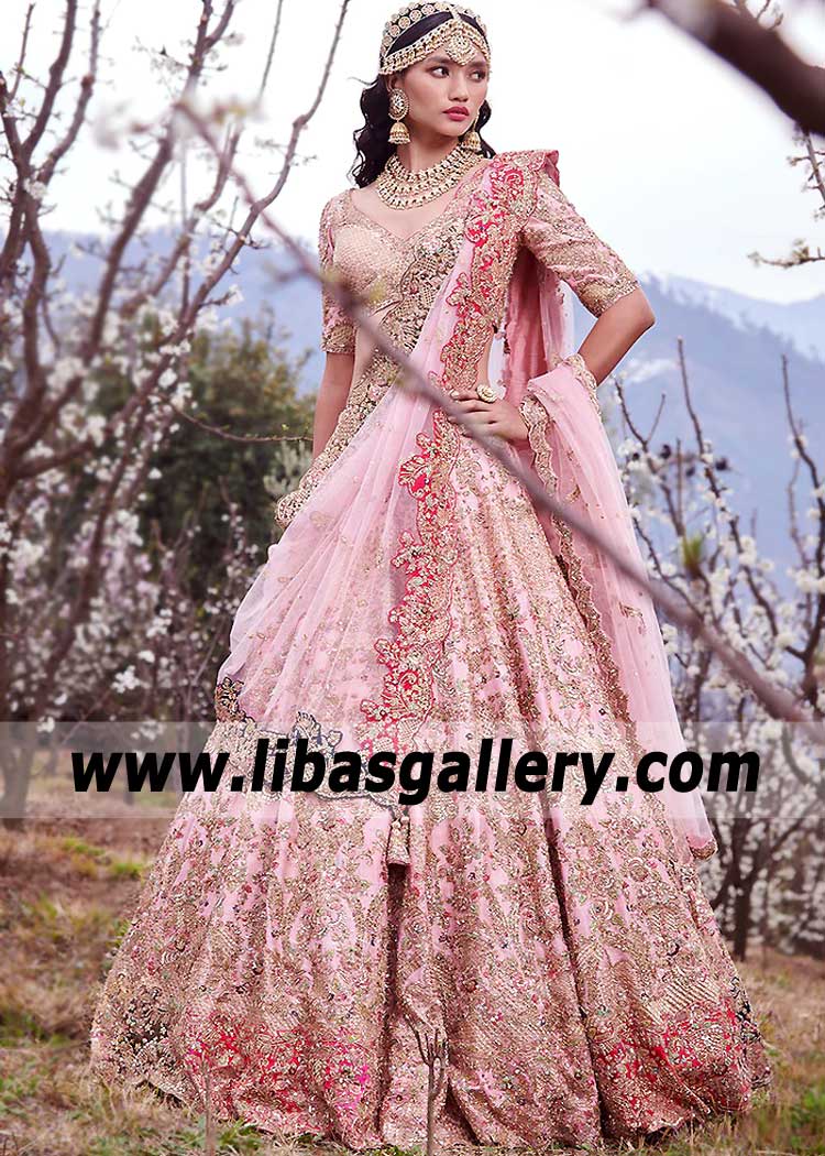 Blush Pink Alcea Bridal Choli with Lehenga