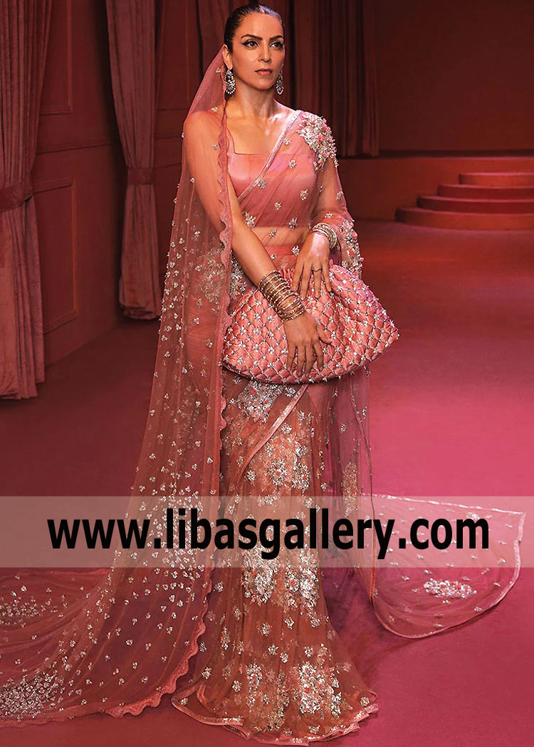 Pastel Red Aster Bridal Saree With The Stunning Embellished Veil