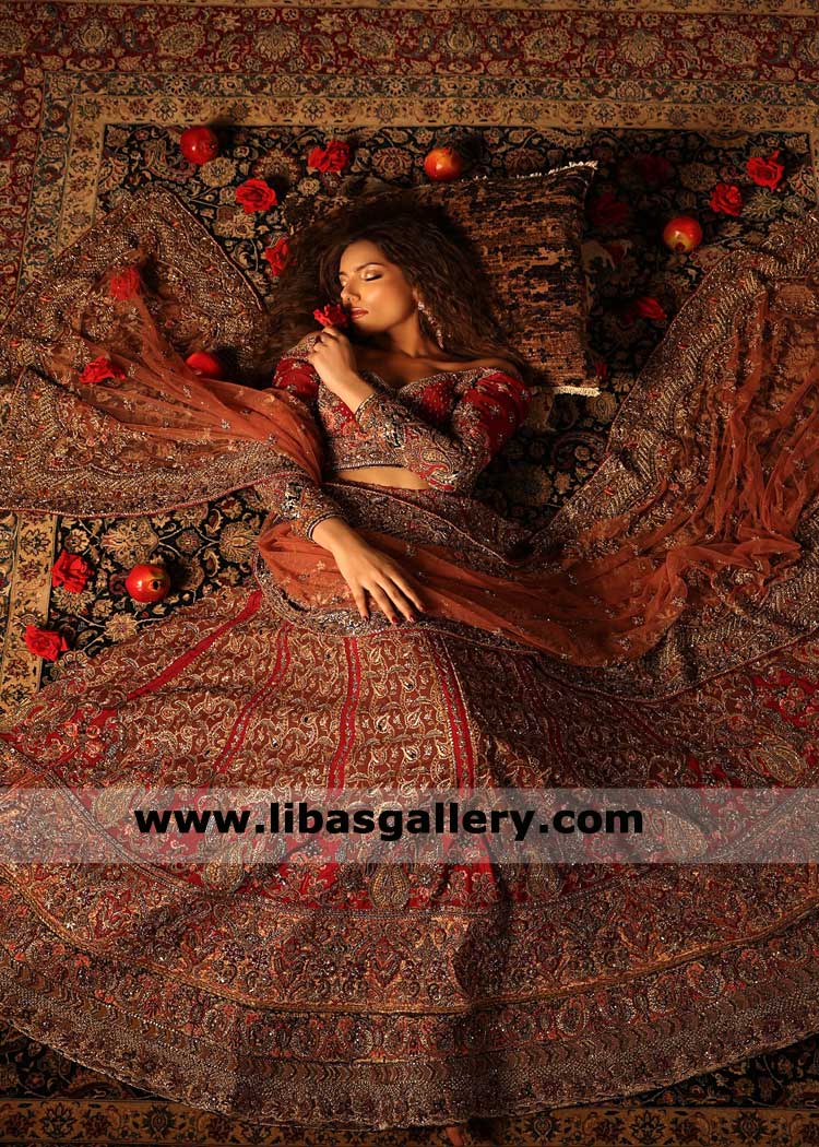 Bridal Red paneled Lehenga Choli ornate Dupatta Borders