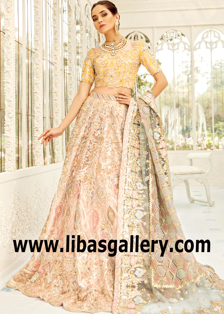 Pakistani Designer Colorant Bridal Lehenga Choli USA Deerfield Illinois Latest Collection Online
