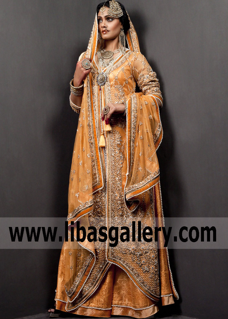 Pale Orange Dahlia Sharara