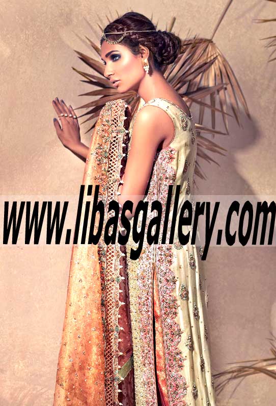 Blaze of Beauty Occasion Dress with Beautiful Embellishements
