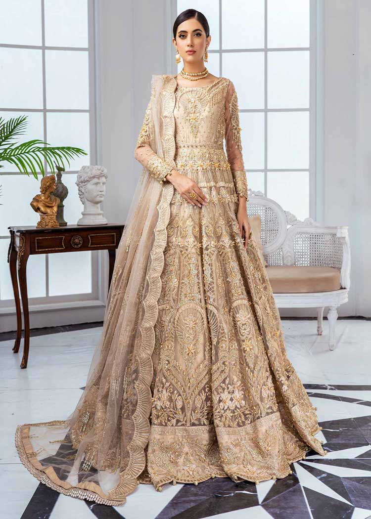 Embroidered heavy gown heavy dupatta for lady nikah barat day