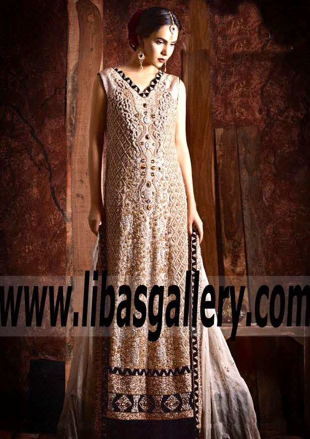 Fabulous Embellished Isabelline Amorpha Gown
