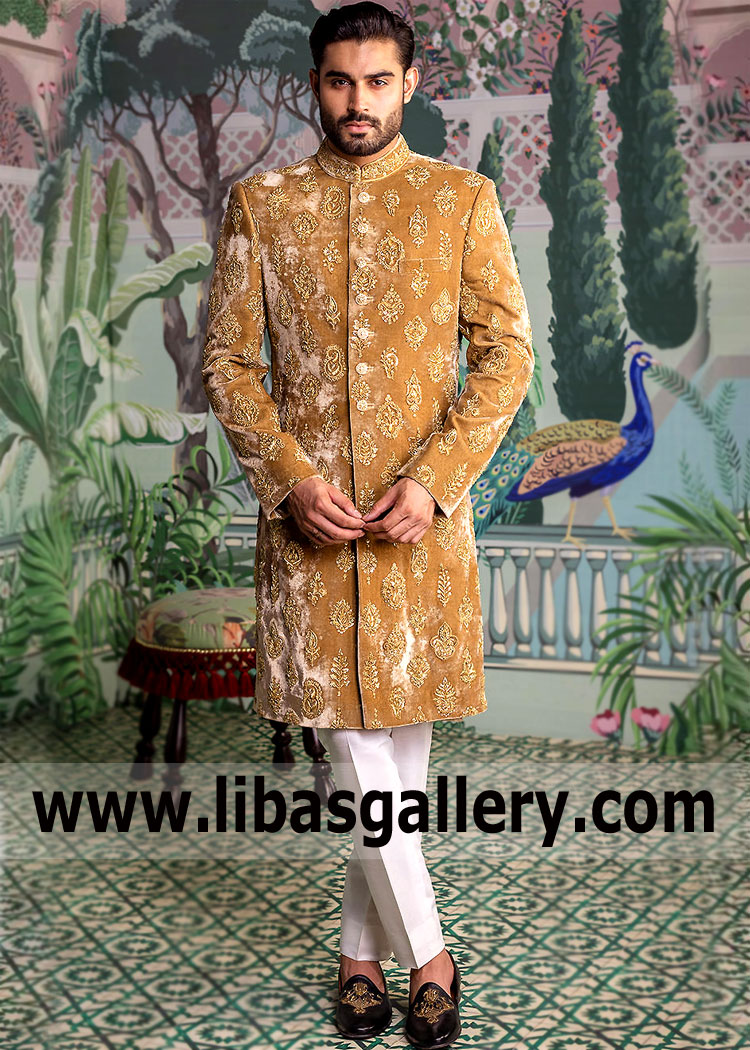 Gold Velvet Groom Wear with Hand Embellished Motifs Lavish Creation Nikah Sherwani Style by Designer with off white Kurta Pajama London Liverpool Manchester UK